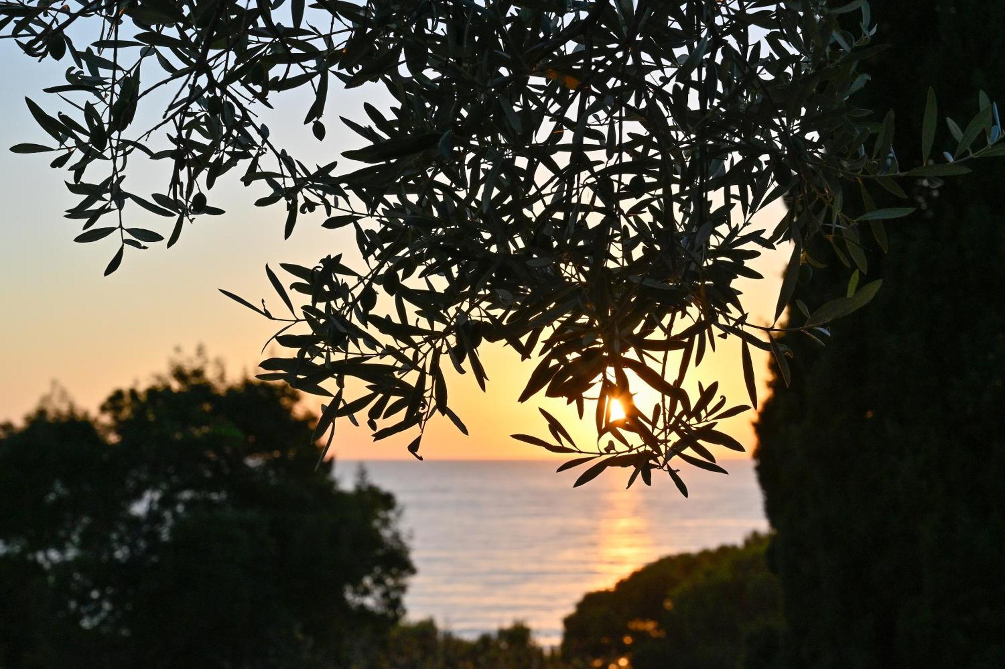 Albeca Boutique Hotel - Relais De Charme Sul Mare Castellabate Exterior foto